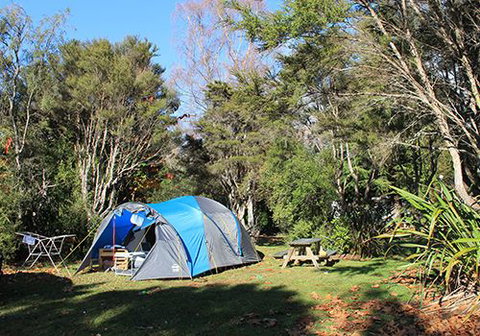 Turangi Holiday Park - Tourism Bookings NZ 3