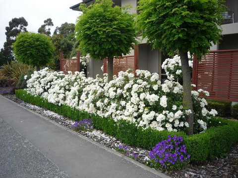 Ashburton Motor Lodge And Conference Centre - Tourism Bookings NZ 6