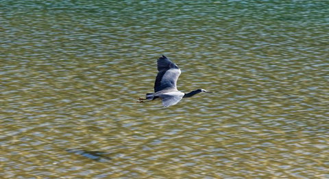 Aquapackers - Tourism Bookings NZ 6