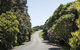 Woodland Glen Lodge - thumb 0