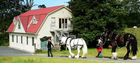 The Carriage House - Bay Of Islands - Tourism Bookings NZ 5