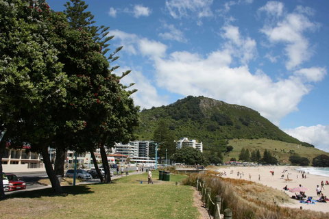 Beachside Bed & Breakfast - Tourism Bookings NZ 4
