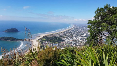 Beachside Bed & Breakfast - Tourism Bookings NZ 5