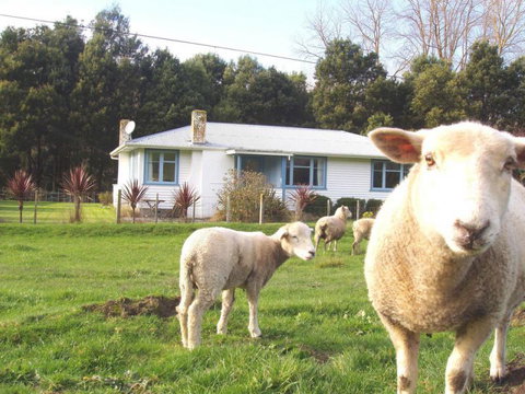 Waiwiri Shepherds Cottage - Tourism Bookings NZ 2