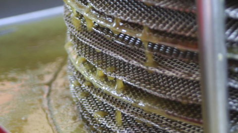 Silver Hill Olive Estate - Tourism Bookings NZ 2