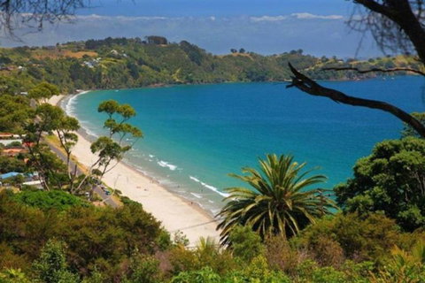Vida Views - Tourism Bookings NZ 1