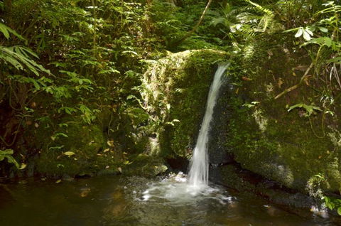 Fern Ridge Hideaway - Tourism Bookings NZ 2