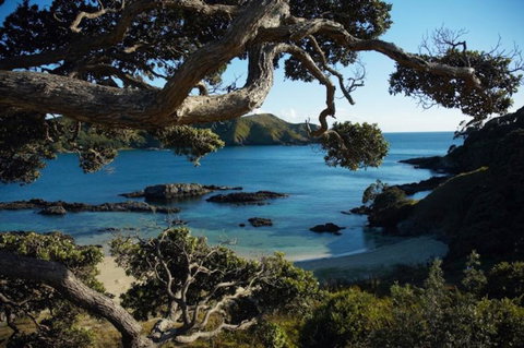 Northland Luxury Villas - Tourism Bookings NZ 4