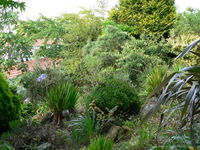 Mount Hobson Boutique Accommodation