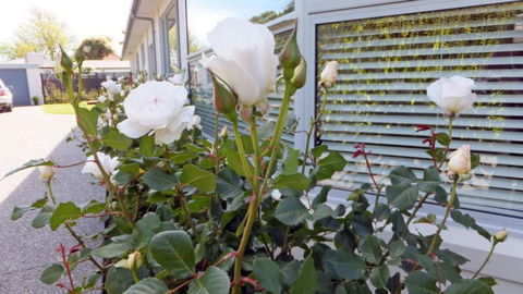 Strowan Townhouse - Tourism Bookings NZ 4