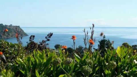 Annette's House - Tourism Bookings NZ 0