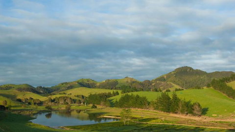 Tahi New Zealand - Tourism Bookings NZ 1