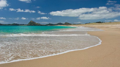 Tahi New Zealand - Tourism Bookings NZ 2