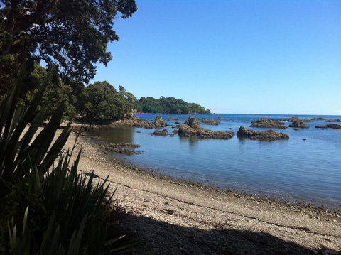 Aruhe  - Tourism Bookings NZ 2