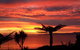 Adrift In Golden Bay - Beachfront Cottages - thumb 2