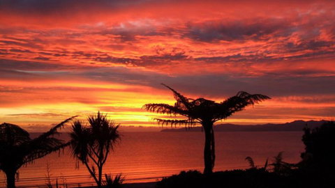 Adrift In Golden Bay - Beachfront Cottages - Tourism Bookings NZ 2