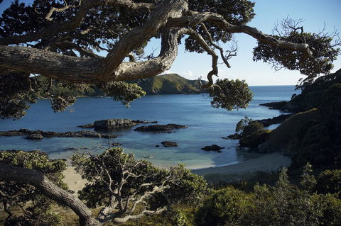 Doubtless Bay Villas - Tourism Bookings NZ 8