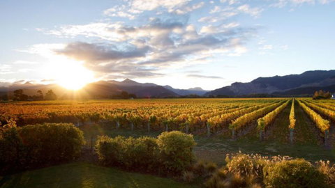 Vintners Retreat  - Tourism Bookings NZ 3