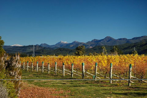 Vintners Retreat  - Tourism Bookings NZ 14