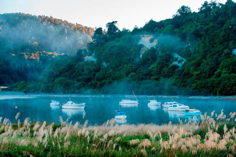 Waikaremoana Holiday Park - Tourism Bookings NZ 0