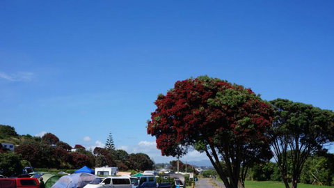Fitzroy Beach Holiday Park  - Tourism Bookings NZ 4