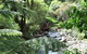 Sapphire Springs Holiday Park & Thermal Pools - thumb 2