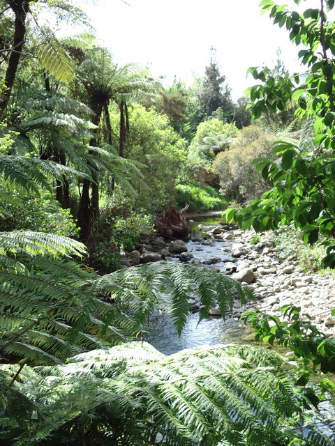Sapphire Springs Holiday Park & Thermal Pools - Tourism Bookings NZ 2