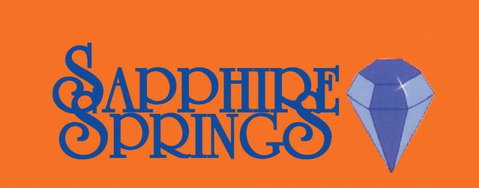 Sapphire Springs Holiday Park & Thermal Pools - Tourism Bookings NZ 5