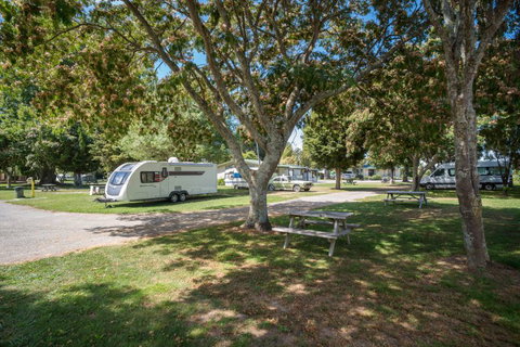 Motueka TOP 10 Holiday Park - Tourism Bookings NZ 7