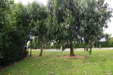 Westport Kiwi Holiday Park & Motels - Tourism Bookings NZ 2