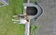 Himatangi Beach Holiday Park - thumb 7