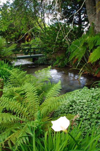 Best Western Braeside Rotorua - Tourism Bookings NZ 7