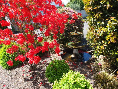 Colonial Court Motel - Tourism Bookings NZ 2