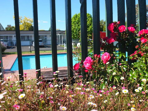 Colonial Court Motel - Tourism Bookings NZ 4