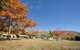 Wanaka Kiwi Holiday Park & Motels - thumb 6