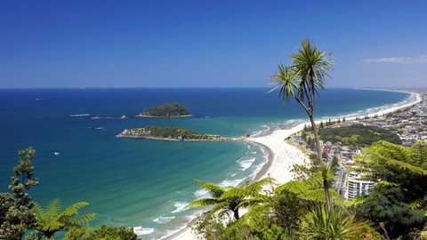 Harbourside City Backpackers - Tourism Bookings NZ 7