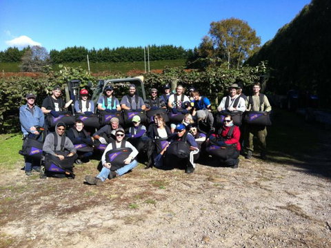 Harbourside City Backpackers - Tourism Bookings NZ 17