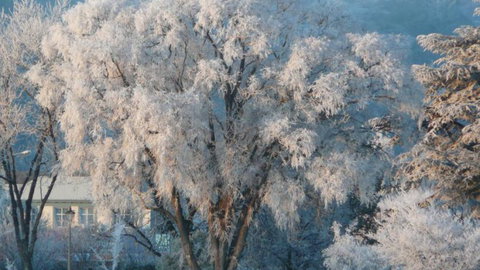 AL Park View Motel - Tourism Bookings NZ 0