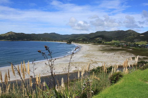 Medlands Beach Backpackers And Villas - Tourism Bookings NZ 0