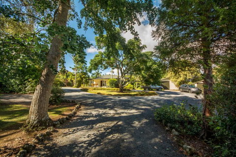 Kauri Park Motel - Tourism Bookings NZ 3