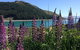 Lakefront Lodge Backpackers - thumb 21