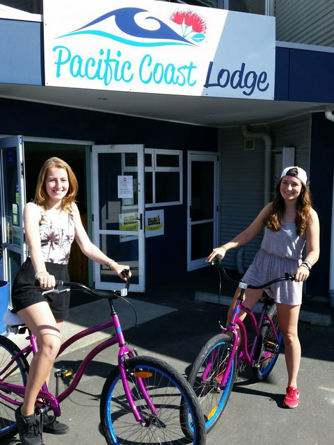 Pacific Coast Lodge And Backpackers - Tourism Bookings NZ 5