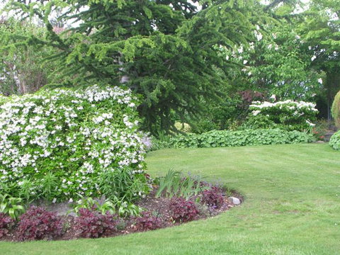 Alexandra Garden Court Motel - Tourism Bookings NZ 4