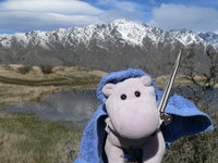 Hippo Lodge Backpackers