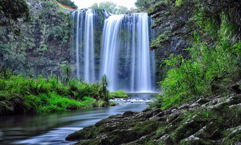 Whangarei Falls Holiday Park & YHA Backpackers - Tourism Bookings NZ 0