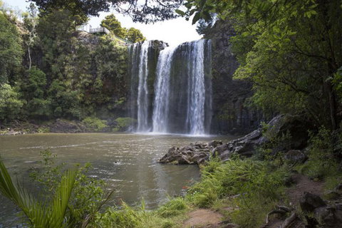 Whangarei Falls Holiday Park & YHA Backpackers - Tourism Bookings NZ 11