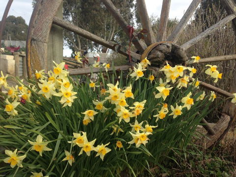 Gumtree Farmstay - Tourism Bookings NZ 6