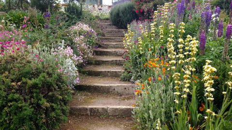 Gumtree Farmstay - Tourism Bookings NZ 7