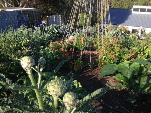 Gumtree Farmstay - Tourism Bookings NZ 8