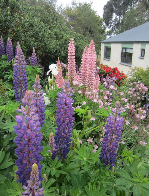 Gumtree Farmstay - Tourism Bookings NZ 9